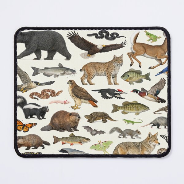 Item preview, Animals of Tennessee Retro Style Identification Chart designed and sold by kakarikihill.