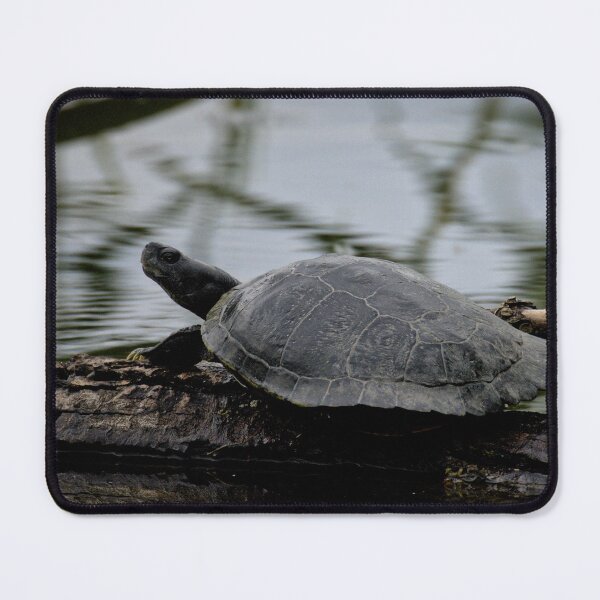 Item preview, Frozen reality - Beautiful nature 845 designed and sold by deep-sea-birds.