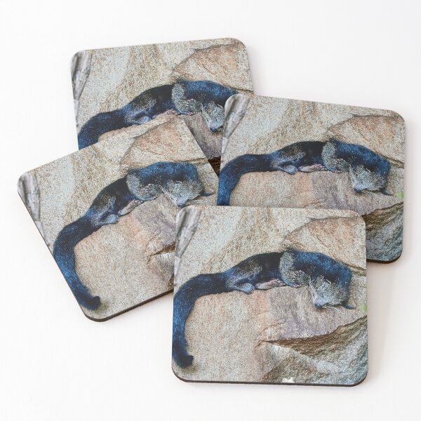 Item preview, Sleeping Binturong designed and sold by Eidetic Photos.
