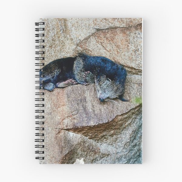 Item preview, Sleeping Binturong designed and sold by Eidetic Photos.