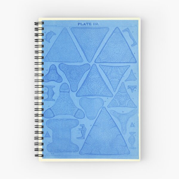 Item preview, Phytoplankton cells from "Diatom Atlas" by Adolf Schmidt, 1890 designed and sold by mariapopova.