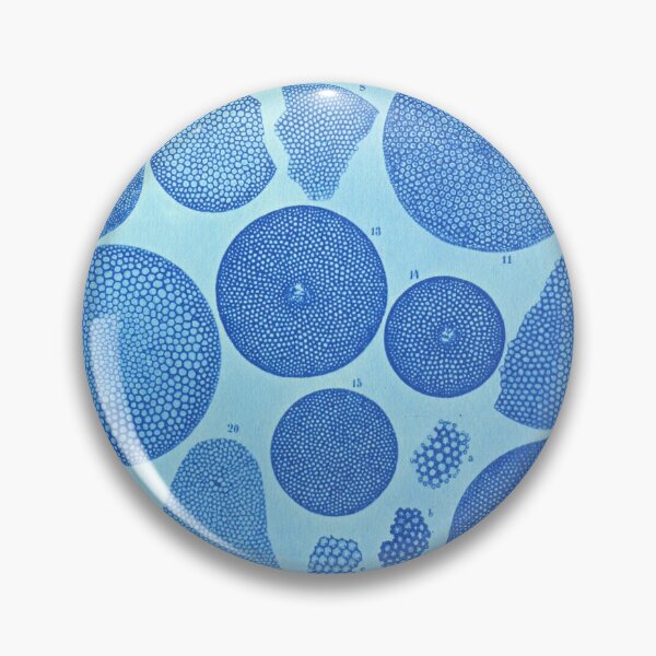 Item preview, Phytoplankton cells from "Diatom Atlas" by Adolf Schmidt, 1890 designed and sold by mariapopova.
