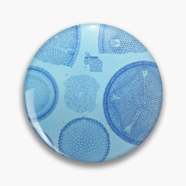 Item preview, Phytoplankton from "Diatom Atlas" by Adolf Schmidt, 1890 designed and sold by mariapopova.