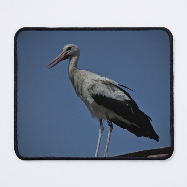 Item preview, Frozen reality - Beautiful nature 850 designed and sold by deep-sea-birds.