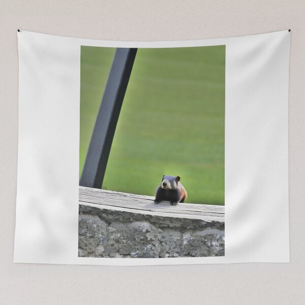 Item preview, Animals - Rocky Mountain Marmot, Naturalist Mountain Portrait designed and sold by DoodyPets.