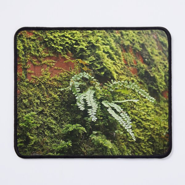 Item preview, Overgrown designed and sold by Murph's Images.