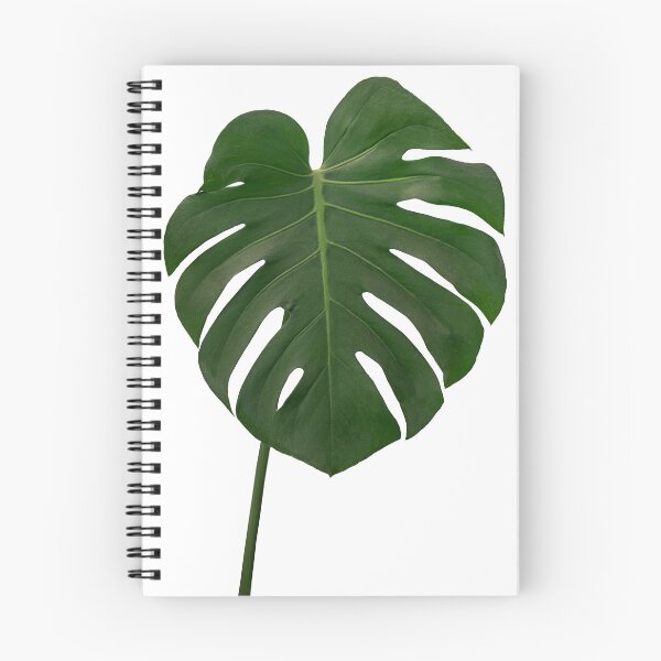 Item preview, Monstera Simplicity designed and sold by MariaAbaza.