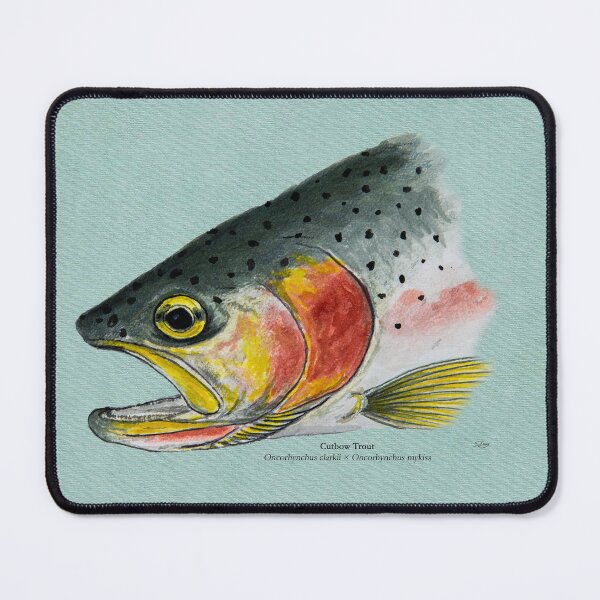 Item preview, Cutbow Trout Painting designed and sold by Stephen Emms.