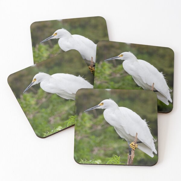 Item preview, Snowy Egret designed and sold by heidipics.