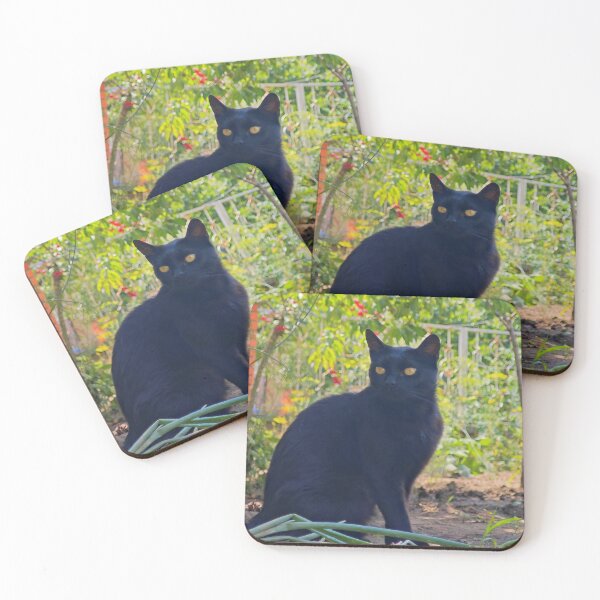 Item preview, Black Cat with Golden Eyes – Garden Photography designed and sold by MB-CatPrints.