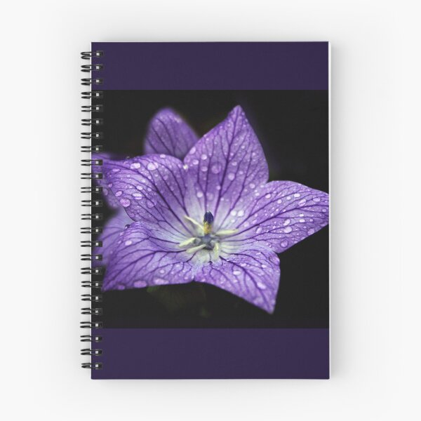 Item preview, Rain Kissed Violet Bellflower designed and sold by Jessica Jenney.