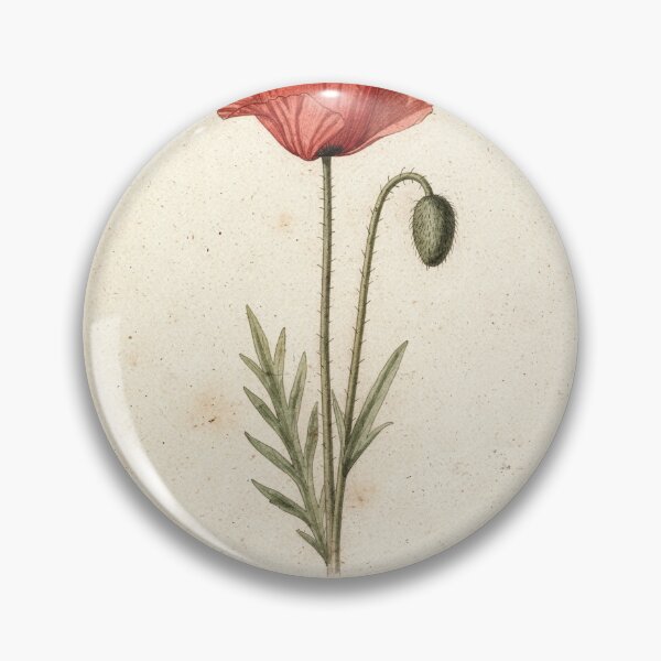 Item preview, Antique Pressed Poppy Botanical Plate designed and sold by PictorialWhimsy.