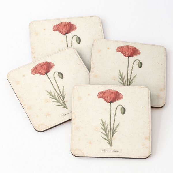 Item preview, Antique Pressed Poppy Botanical Plate designed and sold by PictorialWhimsy.