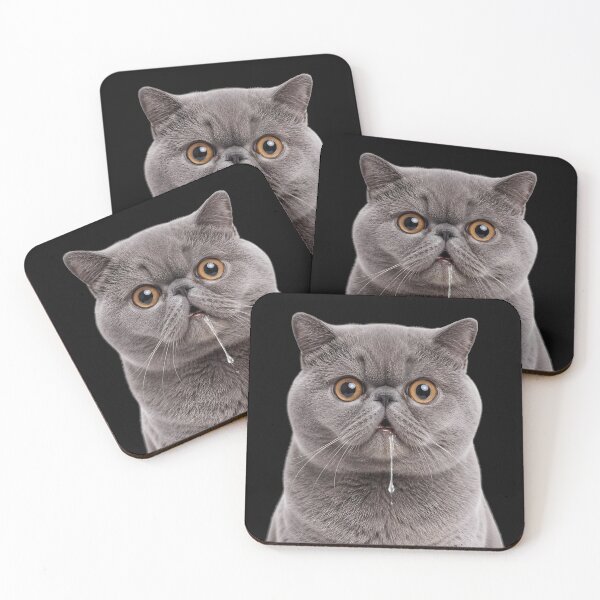 Item preview, Drooling British Shorthair Cat Meme designed and sold by teeperfect.