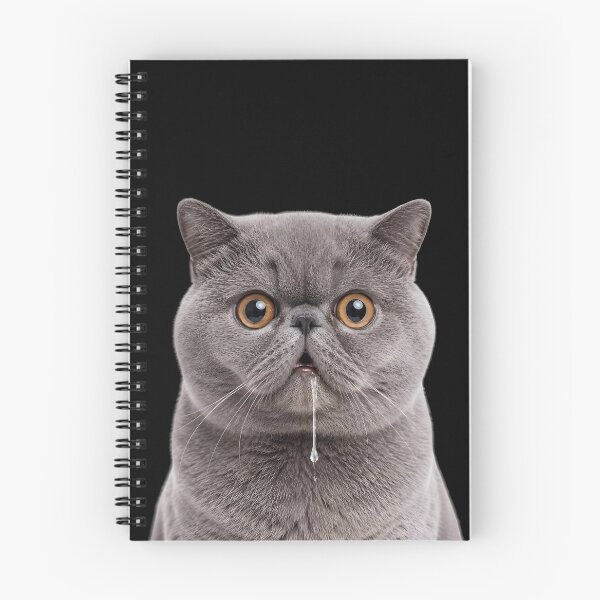Item preview, Drooling British Shorthair Cat Meme designed and sold by teeperfect.
