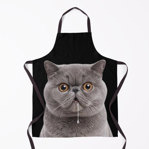 Item preview, Drooling British Shorthair Cat Meme designed and sold by teeperfect.