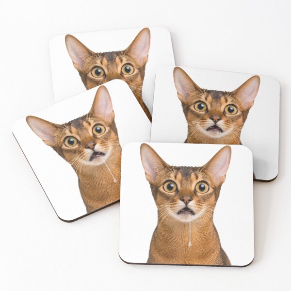 Item preview, Funny Drooling Abyssinian Cat Meme Face designed and sold by teeperfect.