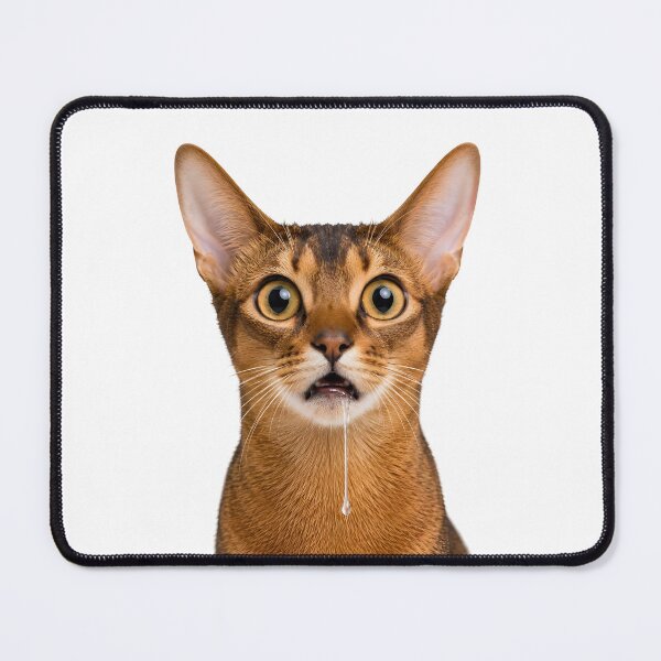 Item preview, Funny Drooling Abyssinian Cat Meme Face designed and sold by teeperfect.