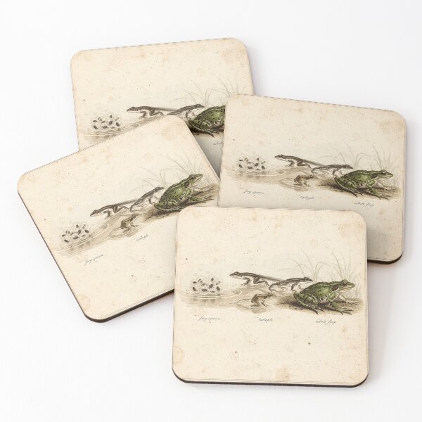 Item preview, Vintage Frog Life Cycle Natural History Plate designed and sold by PictorialWhimsy.