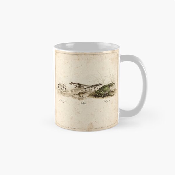 Item preview, Vintage Frog Life Cycle Natural History Plate designed and sold by PictorialWhimsy.