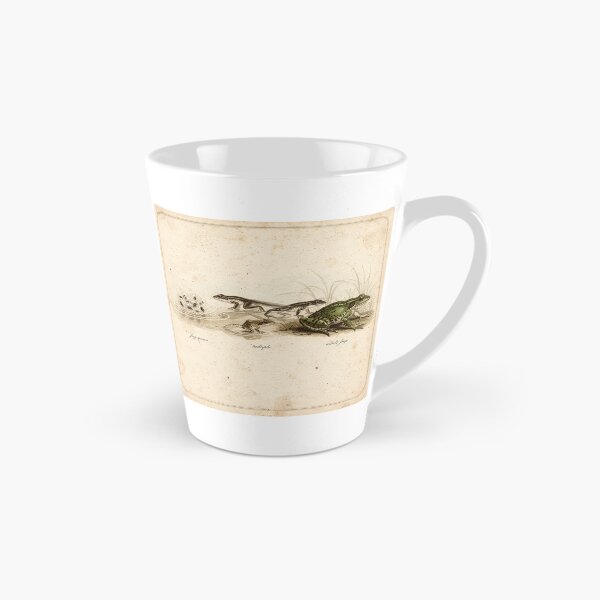 Item preview, Vintage Frog Life Cycle Natural History Plate designed and sold by PictorialWhimsy.