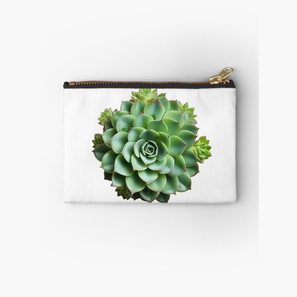 Item preview, Succulent plant isolated on transparent background designed and sold by MiraCleAI.