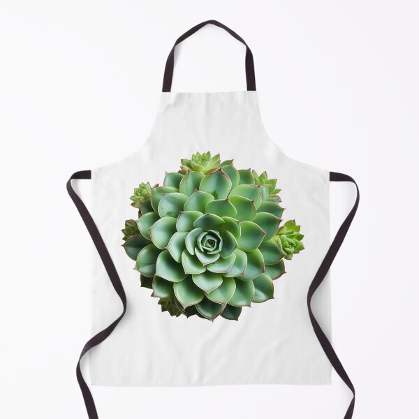 Item preview, Succulent plant isolated on transparent background designed and sold by MiraCleAI.