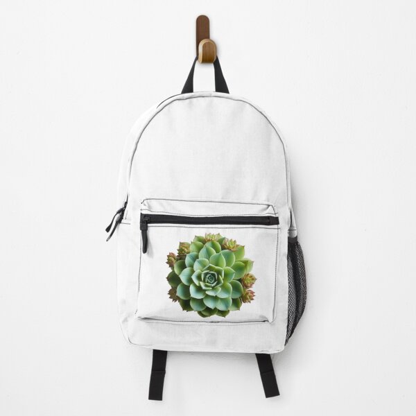 Item preview, Succulent plant isolated on transparent background designed and sold by MiraCleAI.