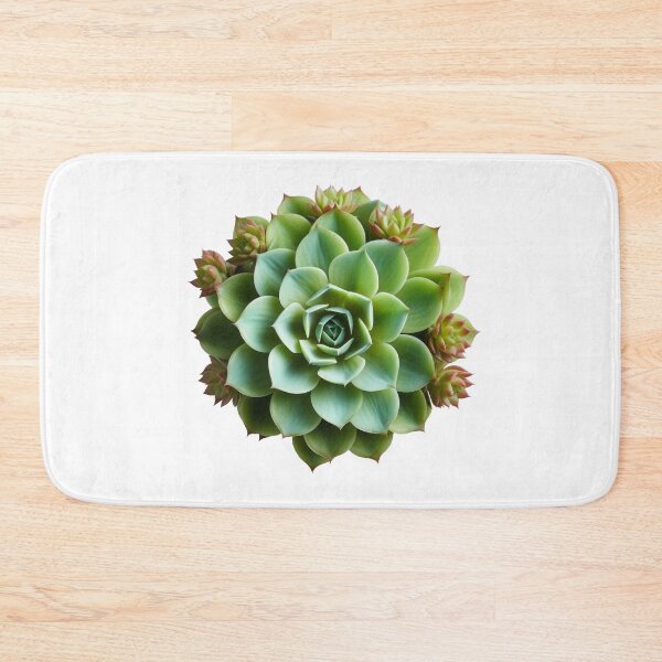 Item preview, Succulent plant isolated on transparent background designed and sold by MiraCleAI.