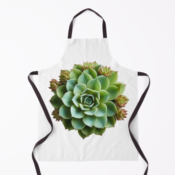 Item preview, Succulent plant isolated on transparent background designed and sold by MiraCleAI.