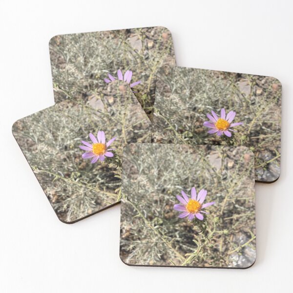 Item preview, Single Bloom designed and sold by Betsy Phillips.
