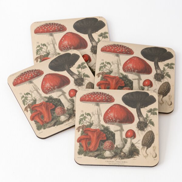 Item preview, Wall Art - Postcard - Botanical Mushroom Study in Vintage Style designed and sold by ForeverPrintsOK.