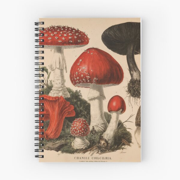 Item preview, Wall Art - Postcard - Botanical Mushroom Study in Vintage Style designed and sold by ForeverPrintsOK.