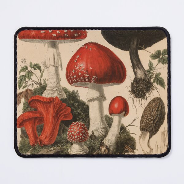 Item preview, Wall Art - Postcard - Botanical Mushroom Study in Vintage Style designed and sold by ForeverPrintsOK.