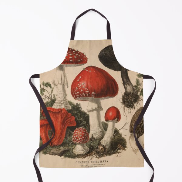 Item preview, Wall Art - Postcard - Botanical Mushroom Study in Vintage Style designed and sold by ForeverPrintsOK.