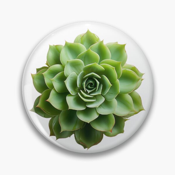 Item preview, Succulent plant isolated on transparent background designed and sold by MiraCleAI.