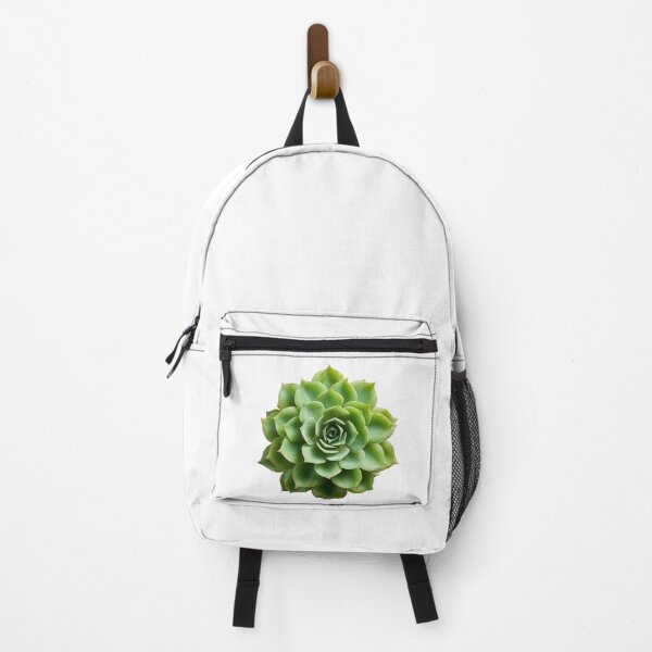 Item preview, Succulent plant isolated on transparent background designed and sold by MiraCleAI.