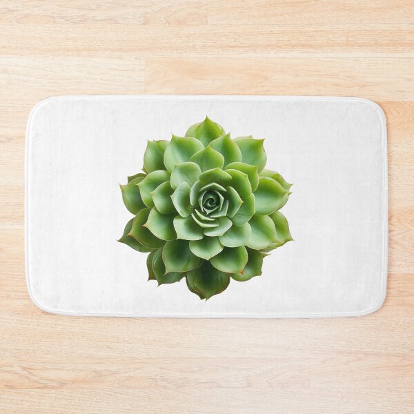 Item preview, Succulent plant isolated on transparent background designed and sold by MiraCleAI.