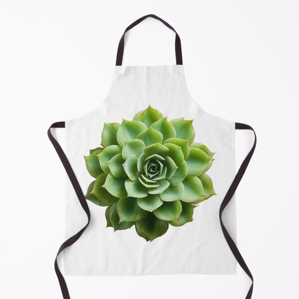 Item preview, Succulent plant isolated on transparent background designed and sold by MiraCleAI.