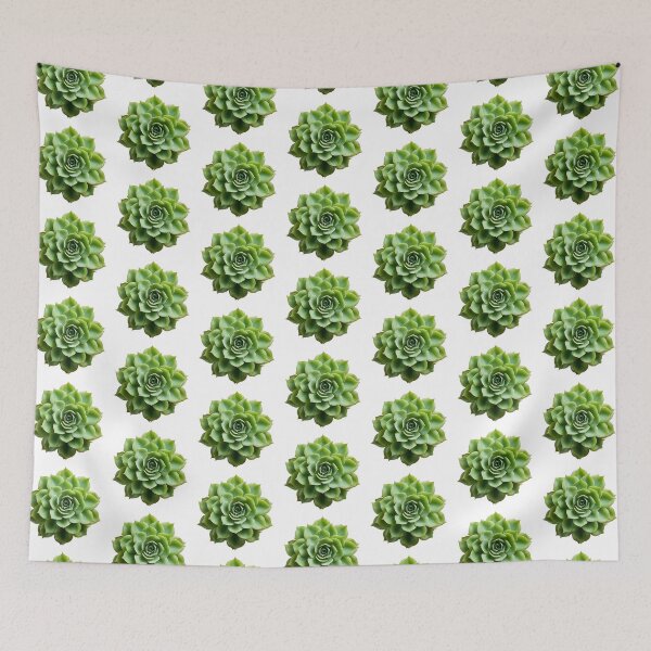 Aperçu de l'œuvre Plante succulente isolée sur fond transparent créée et vendue par MiraCleAI.