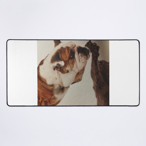 Item preview, Noo its a joke! To assert,that would eat hotcat.. designed and sold by Valgasnews011.