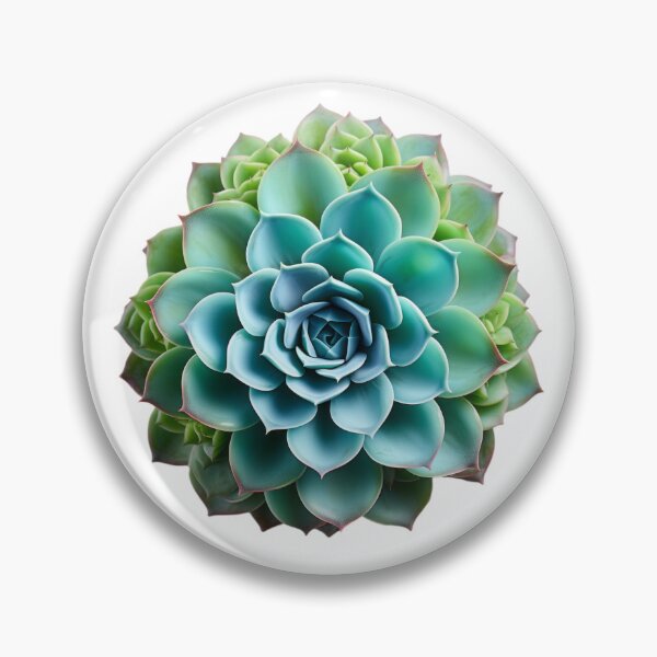 Item preview, Succulent plant isolated on transparent background designed and sold by MiraCleAI.