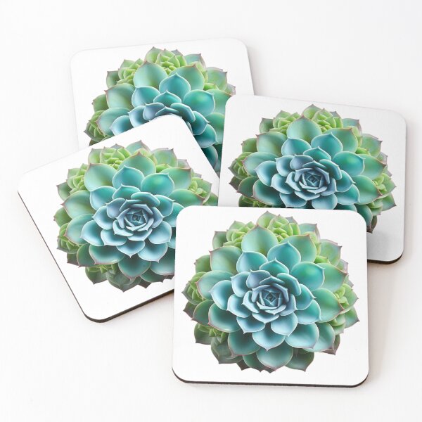 Item preview, Succulent plant isolated on transparent background designed and sold by MiraCleAI.