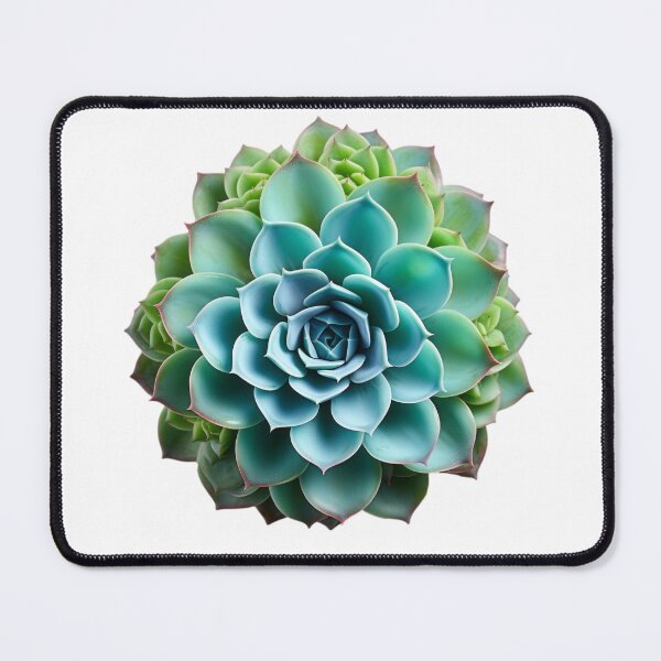 Item preview, Succulent plant isolated on transparent background designed and sold by MiraCleAI.