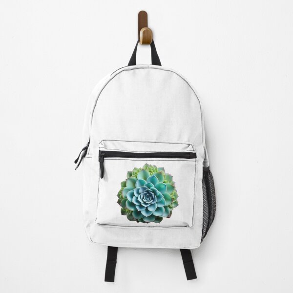 Item preview, Succulent plant isolated on transparent background designed and sold by MiraCleAI.