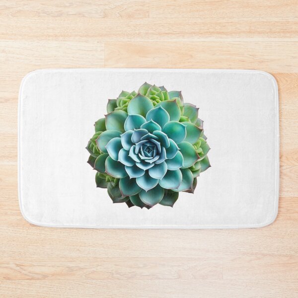 Item preview, Succulent plant isolated on transparent background designed and sold by MiraCleAI.