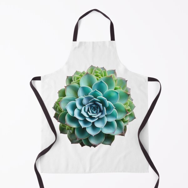 Item preview, Succulent plant isolated on transparent background designed and sold by MiraCleAI.