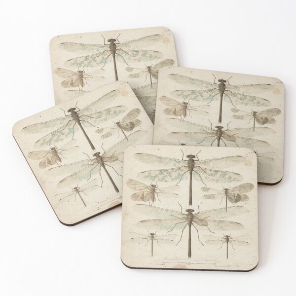 Item preview, Vintage Damselfly and Mayfly Specimen Plate designed and sold by PictorialWhimsy.
