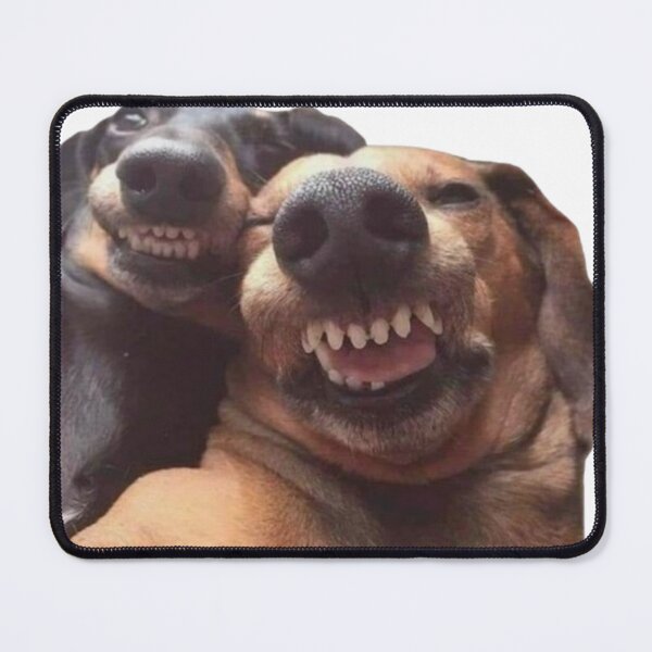 Item preview, Happy Smiling Dogs Together – Cute Pet Lover Sticker designed and sold by Mustangana.