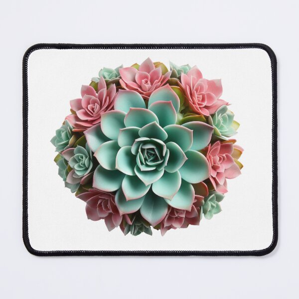 Item preview, Succulent plant isolated on transparent background designed and sold by MiraCleAI.